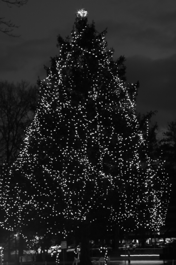 2009 12 28 IMG 5334
